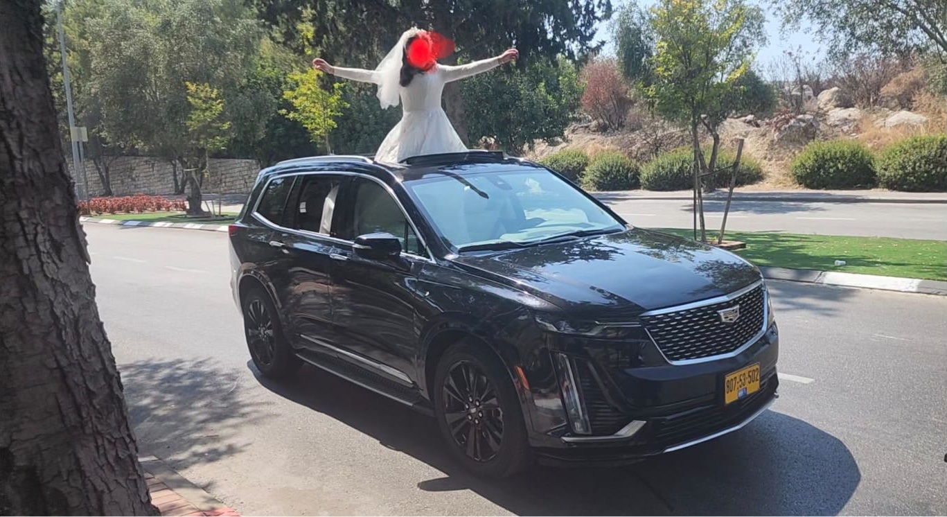 תמונה 1